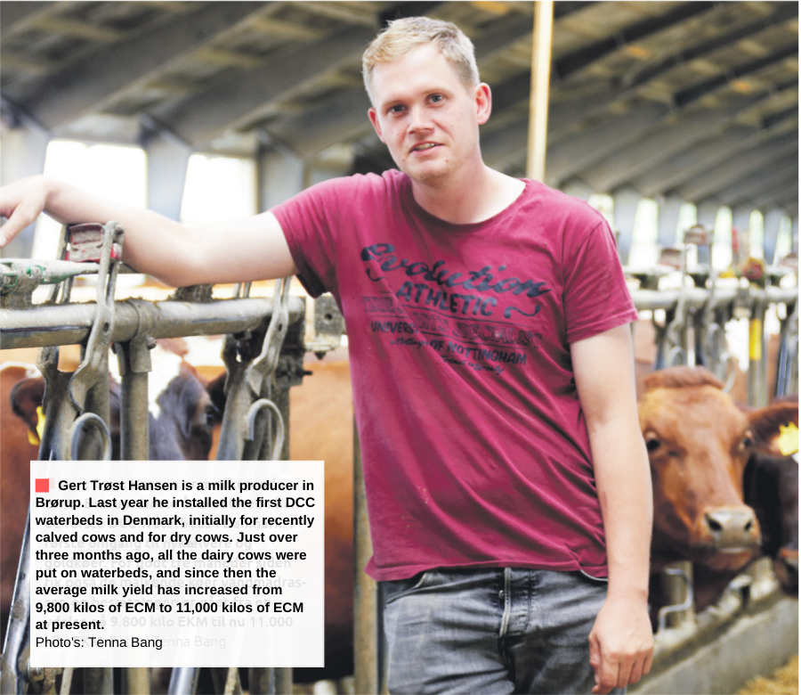 Waterbeds are leading to increased milk production, according to Gert Trost Hansen